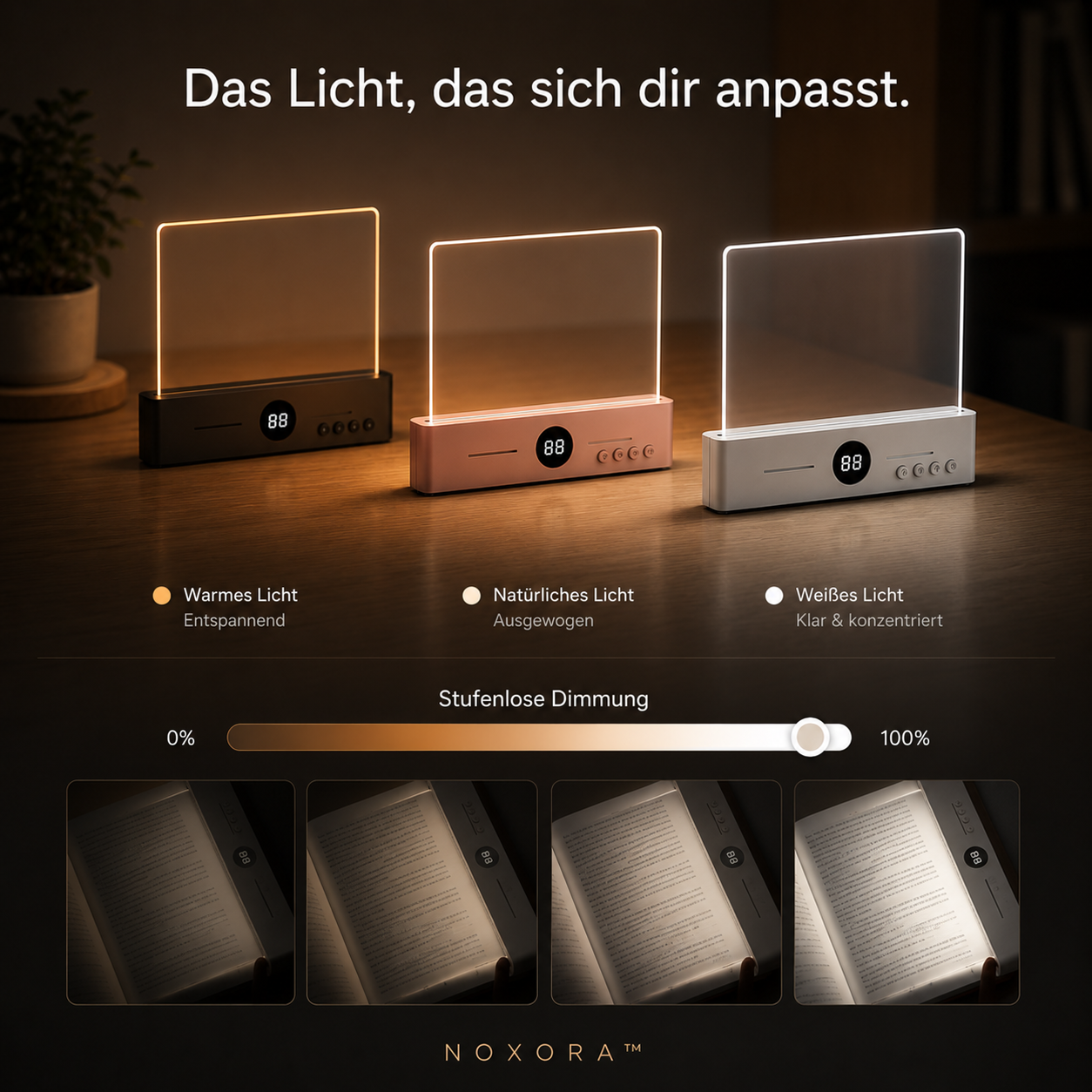 Abend-Leselicht